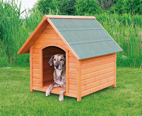 Puppy house - How to Make Amazing Puppy Dog House from CardboardIn this video I show you how to make amazing 2 floor house for your dog or puppy out of cardboard! All you ...